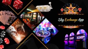 Sky exchange app - sky exchange