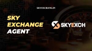 Skyexchange agent